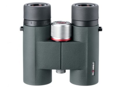 KOWA 8X32 BD Prominar XD